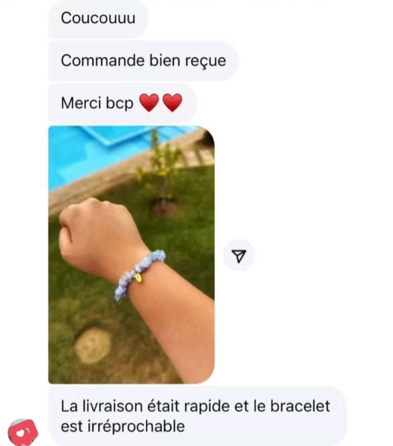 Avis client 